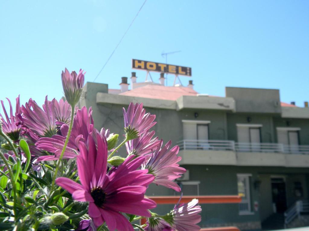 Hotel Restaurante Las Galias Zuera Eksteriør bilde